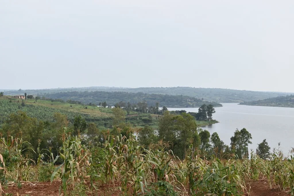 Lac Muhazi, Rwanda