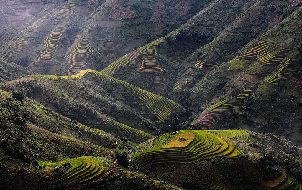 Mu Cang Chai, Vietnam
