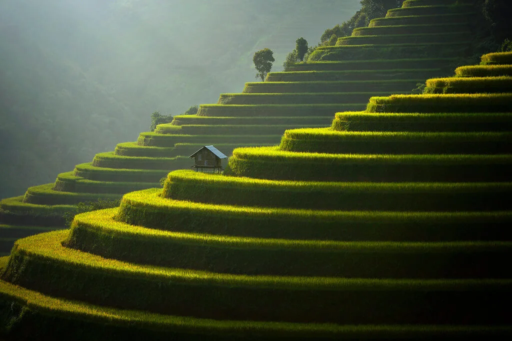 Mu Cang Chai, Vietnam