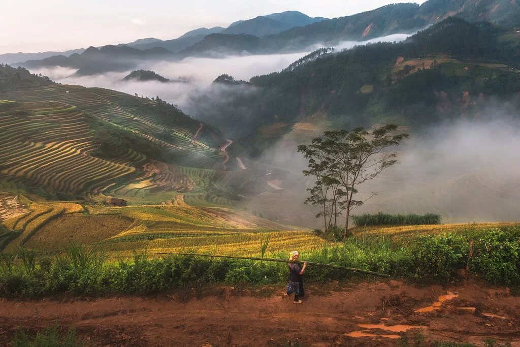 Mu Cang Chai, Vietnam