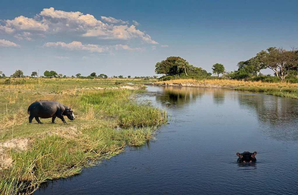 Kwando River, Namibie, Namibie, Botswana, Botswana