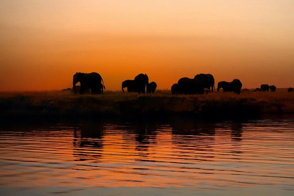 Kwando River, Namibie, Namibie, Botswana, Botswana