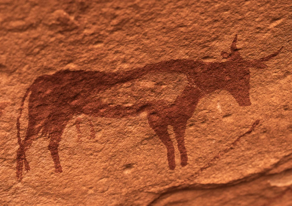 Parc culturel du Tassili n'Ajjer, Algérie