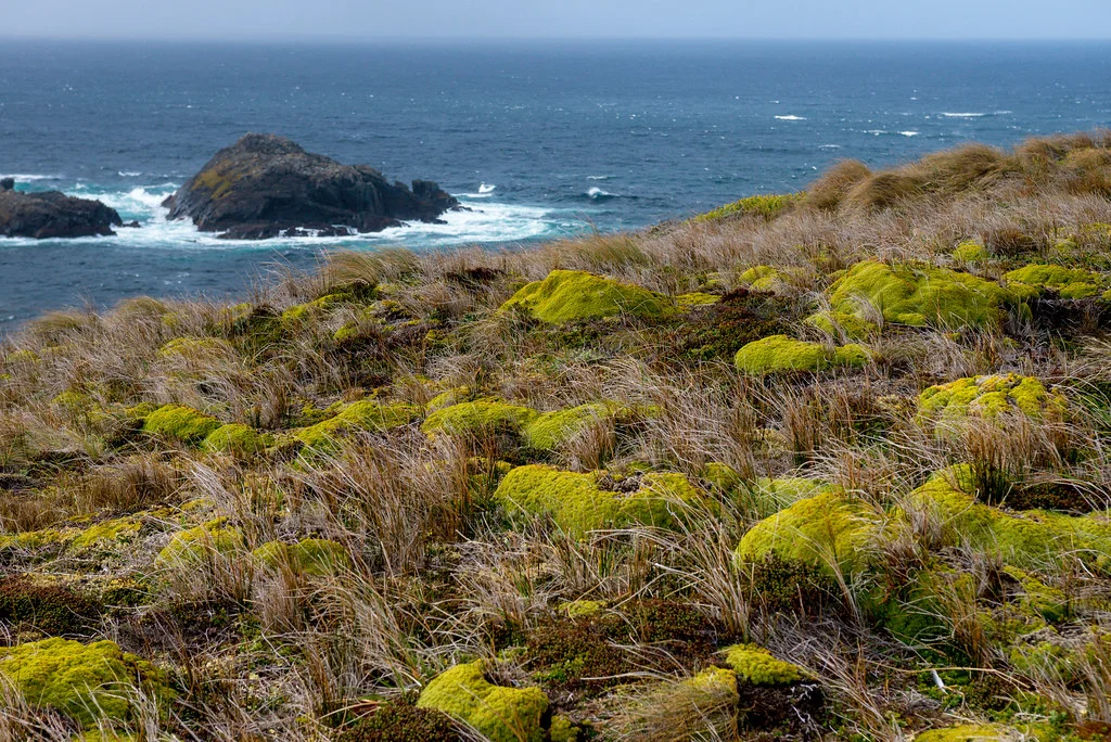 Parc national Cabo de Hornos, Chili