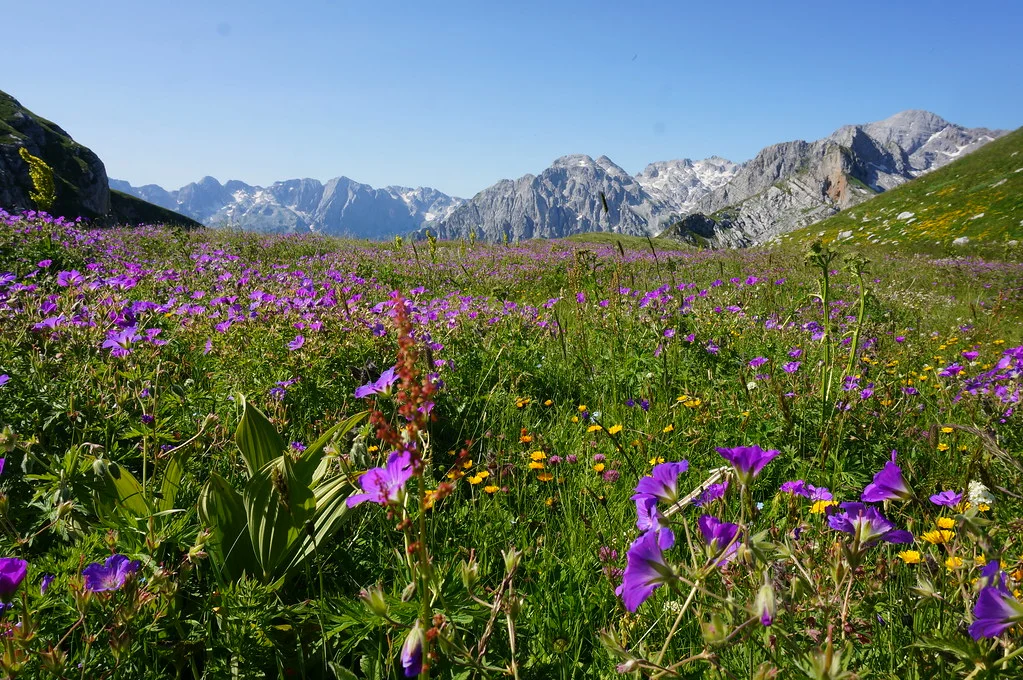 Maja e Jezerces, Kosovo, Albanie, Albanie