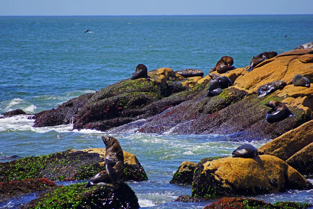Cabo Polonio, Uruguay