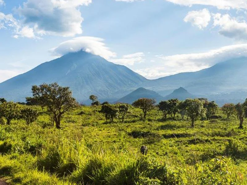Parc national des Virungas, République démocratique du Congo