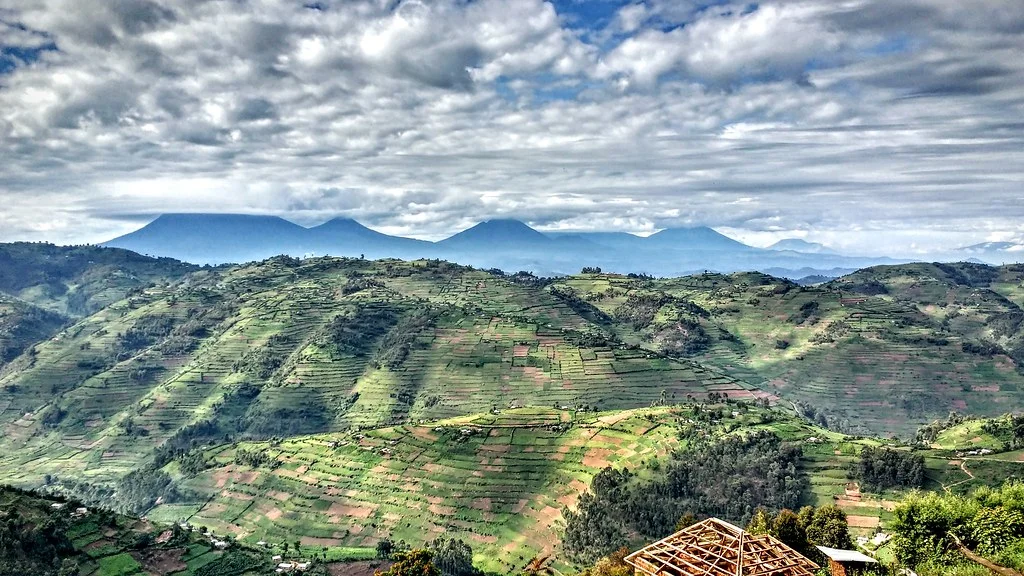 Parc national des Virungas, République démocratique du Congo