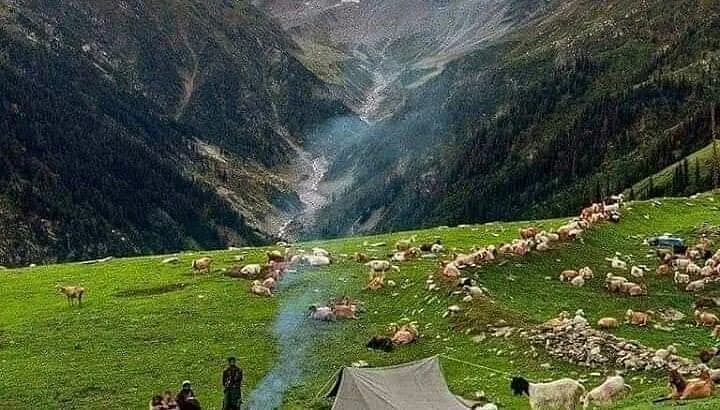 Baboon Valley, Pakistan