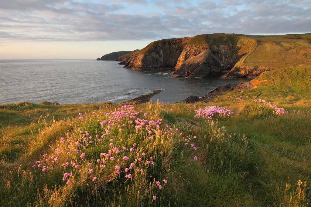 Sentier Pembrokeshire, Pays de Galles