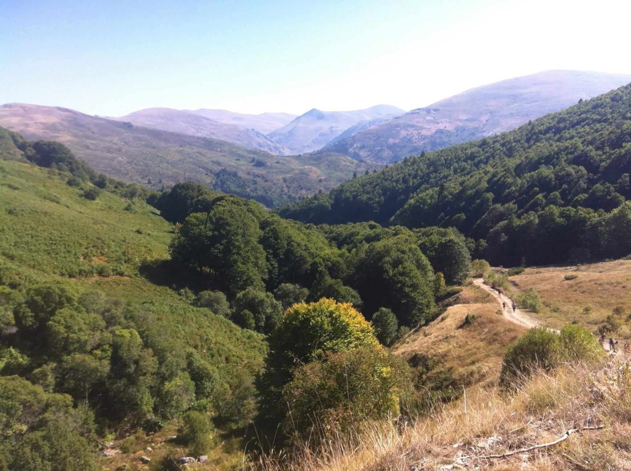 Parc naturel de Korab-Koritnik, Albanie, Albanie