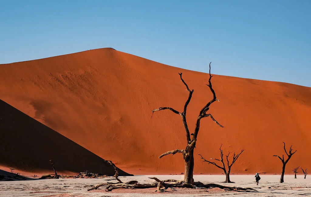 Dead Vlei, Namibie