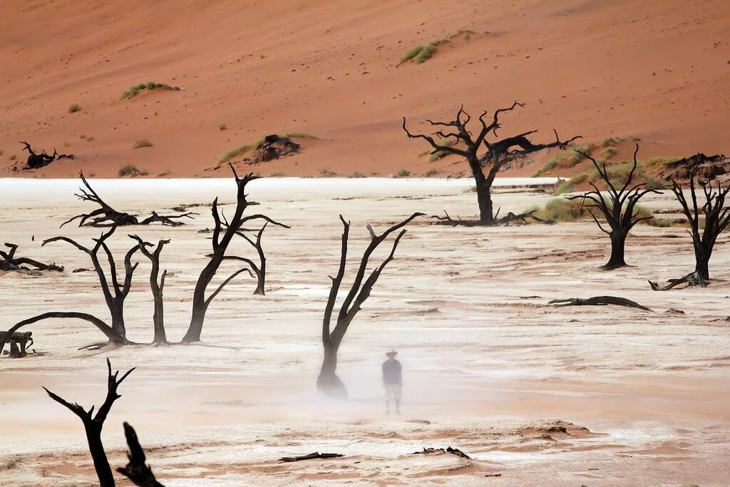 Dead Vlei, Namibie