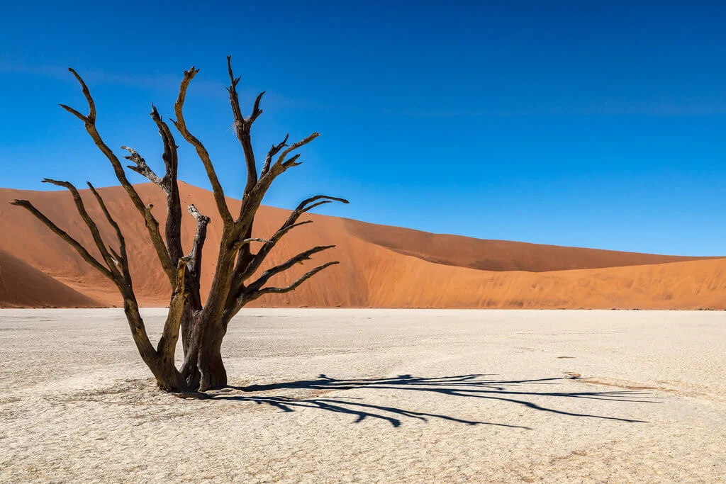 Dead Vlei, Namibie