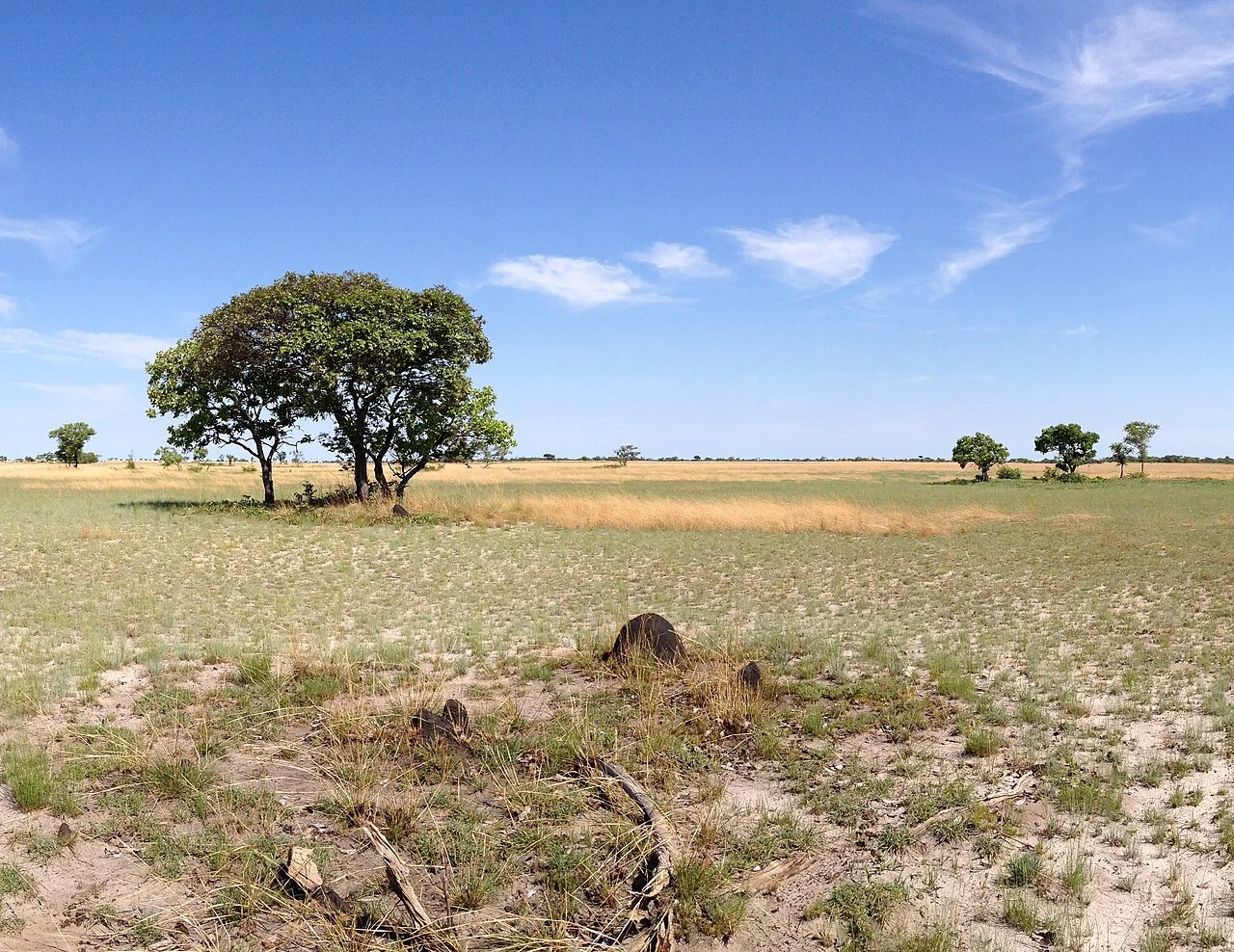 Parc national de la plaine de Liuwa, Zambie