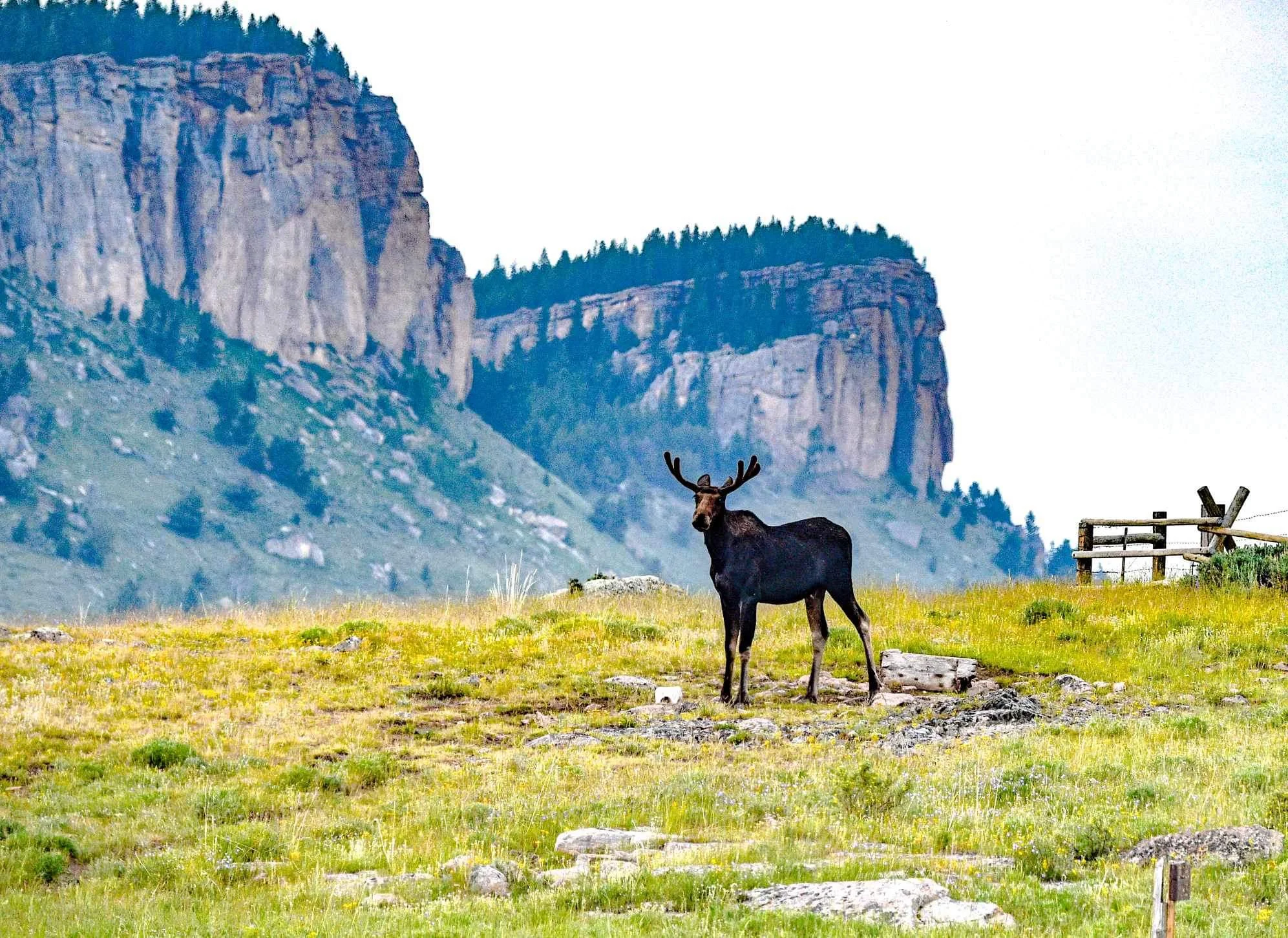 Monts Big Horn, États-Unis, États-Unis