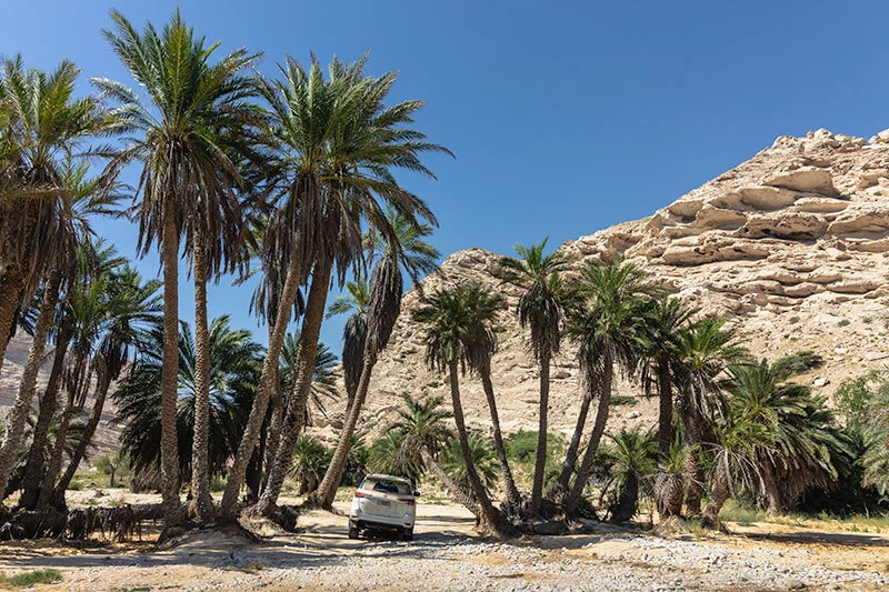 Wadi Al Nakheel, Oman