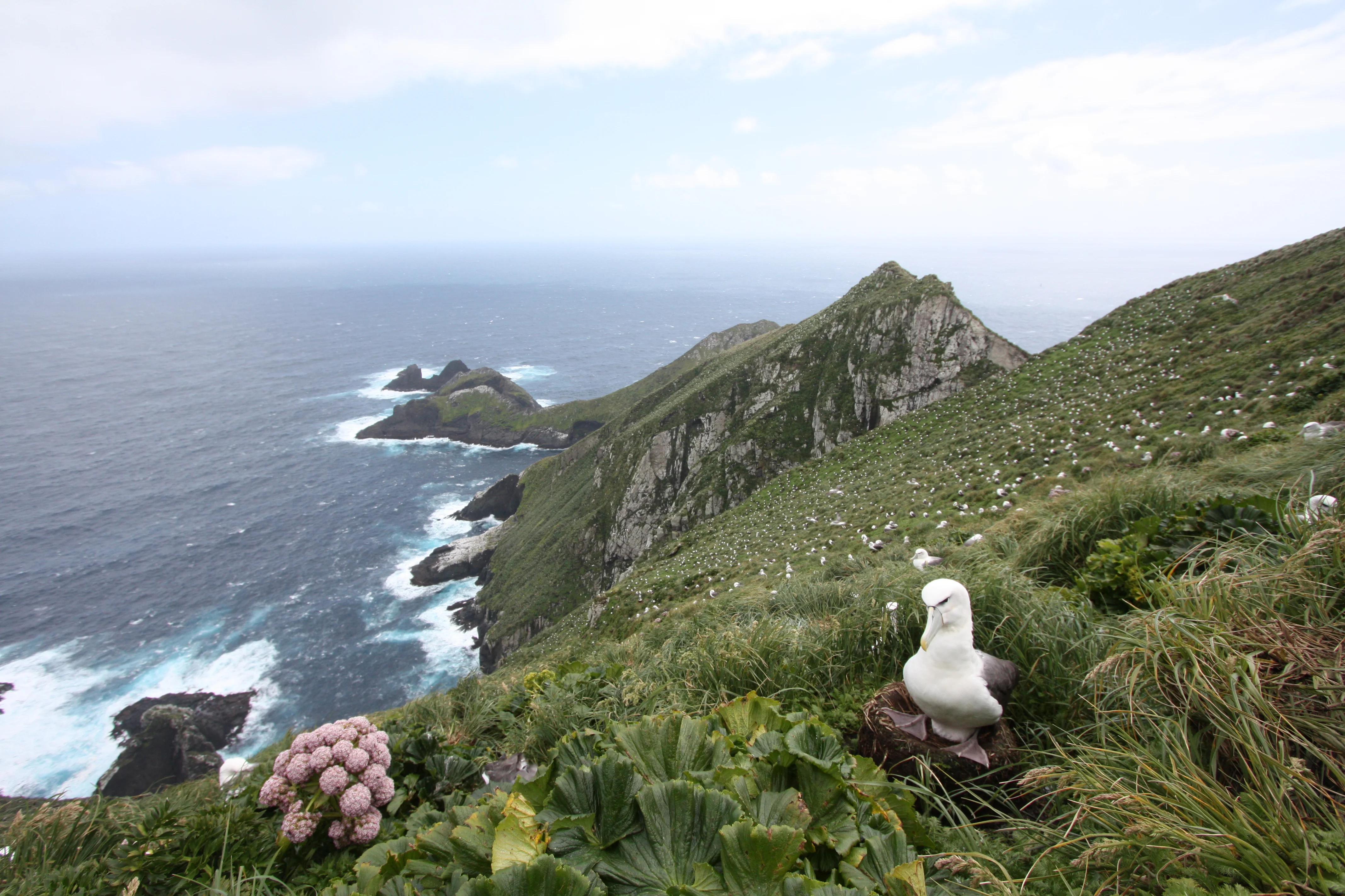 Île Disappointment, Nouvelle-Zélande