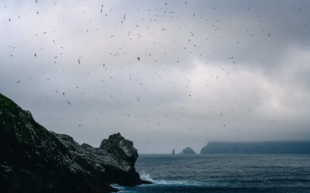 Île Disappointment, Nouvelle-Zélande