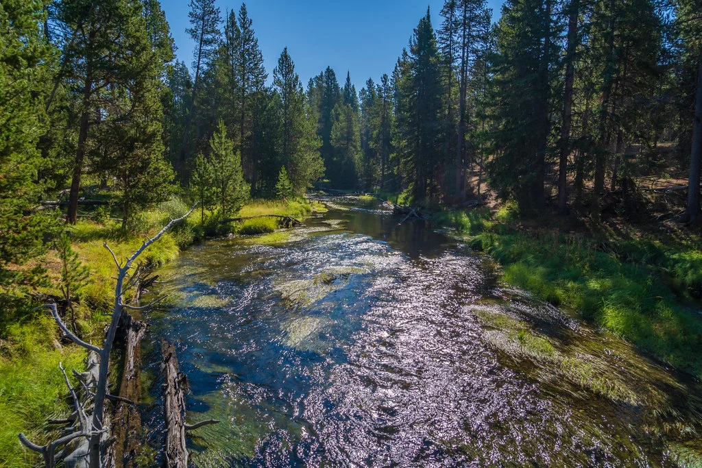 Firehole River Swimming Area, États-Unis
