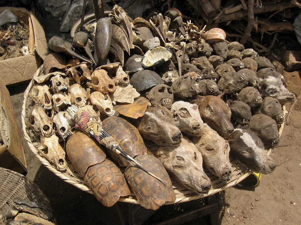 Marche Dantokpa, Bénin
