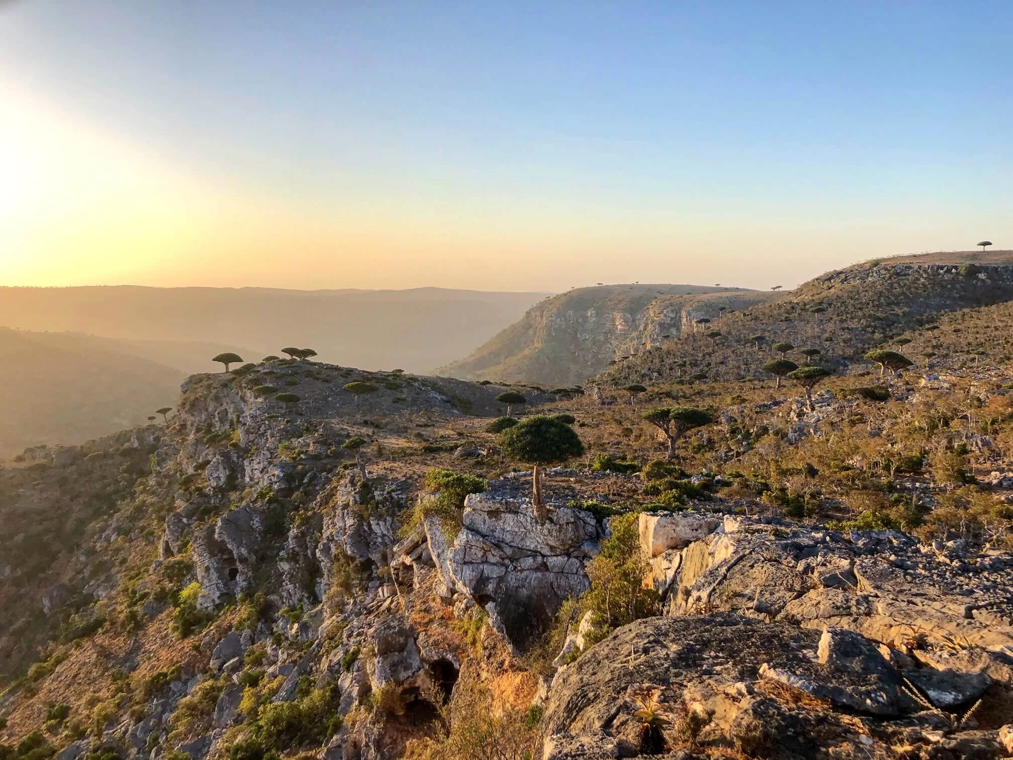 Plateau de Diksam, Yémen, Socotra