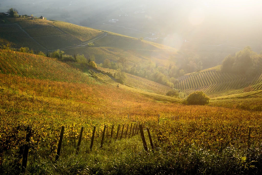 Langhe, Italie