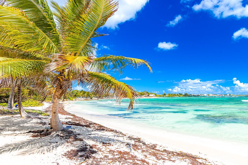 Plage de la Grande Anse des Salines, Guadeloupe
