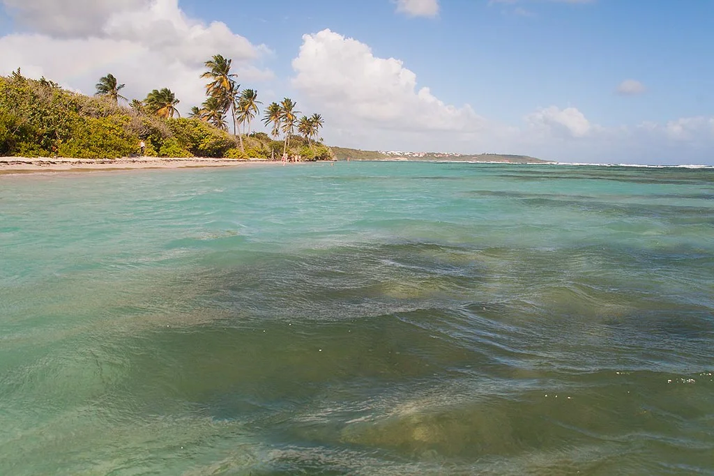Plage de la Grande Anse des Salines, Guadeloupe