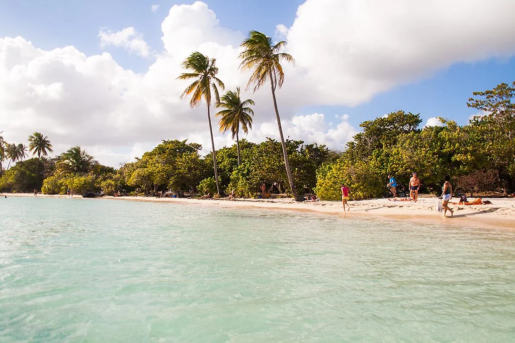 Plage de la Grande Anse des Salines, Guadeloupe