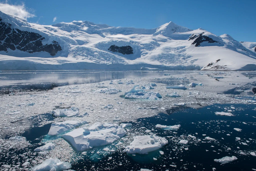 Néko Harbor, Antarctique