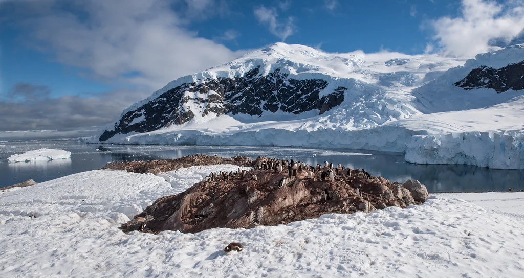 Néko Harbor, Antarctique
