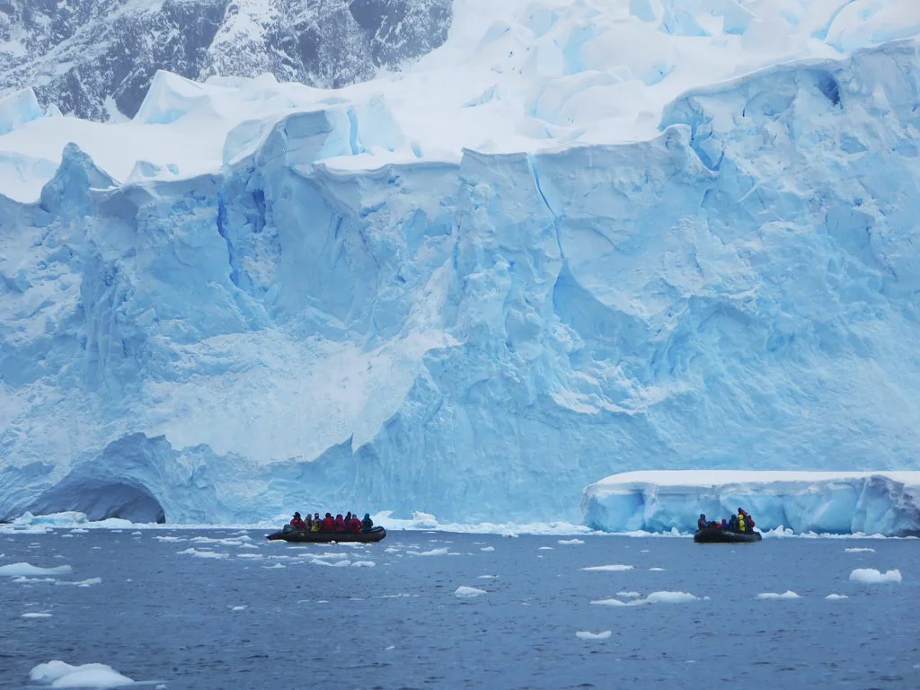 Néko Harbor, Antarctique