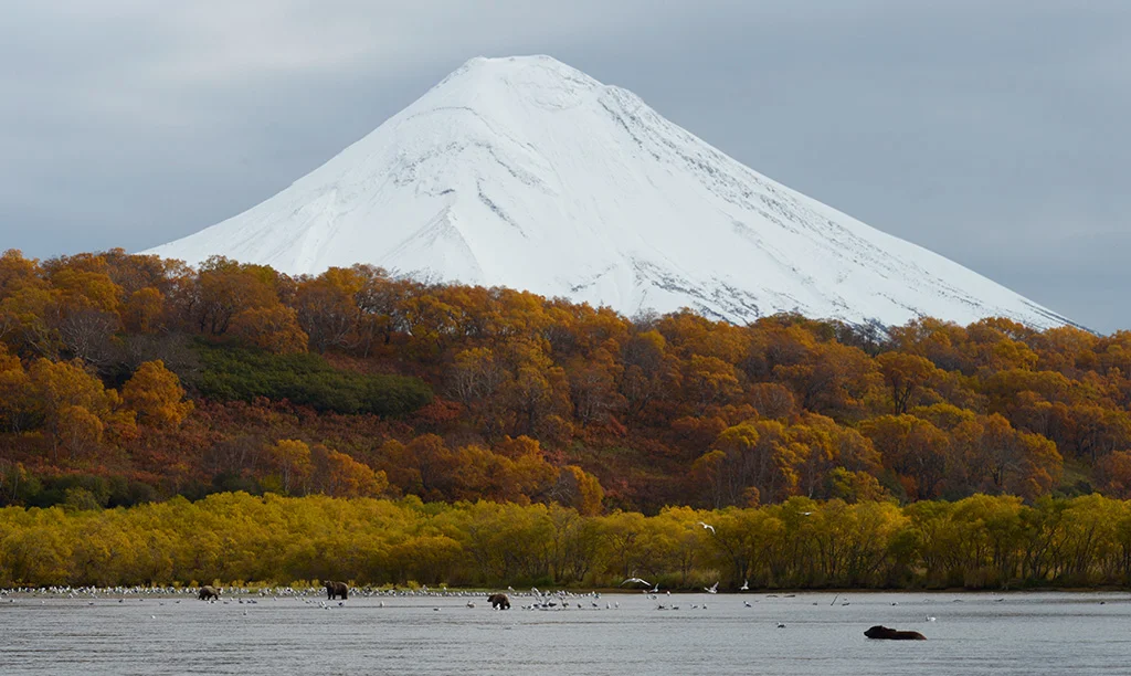 Parc naturel du Kamtchatka du Sud, Russie