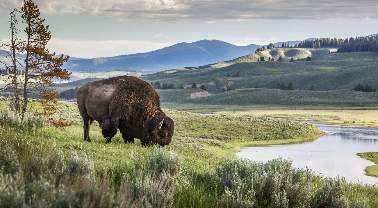 Parc national de Yellowstone, États-Unis, États-Unis, États-Unis