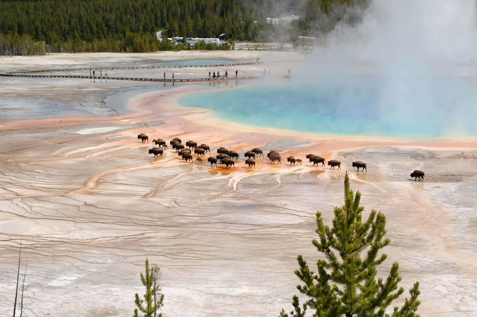 Parc national de Yellowstone, États-Unis, États-Unis, États-Unis