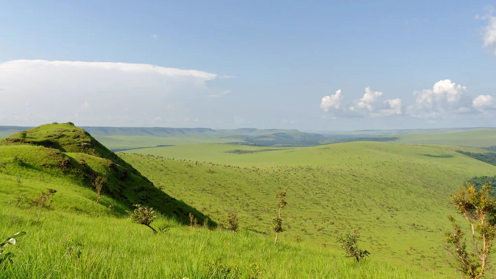 Réserve de Lesio-Louna, République du Congo