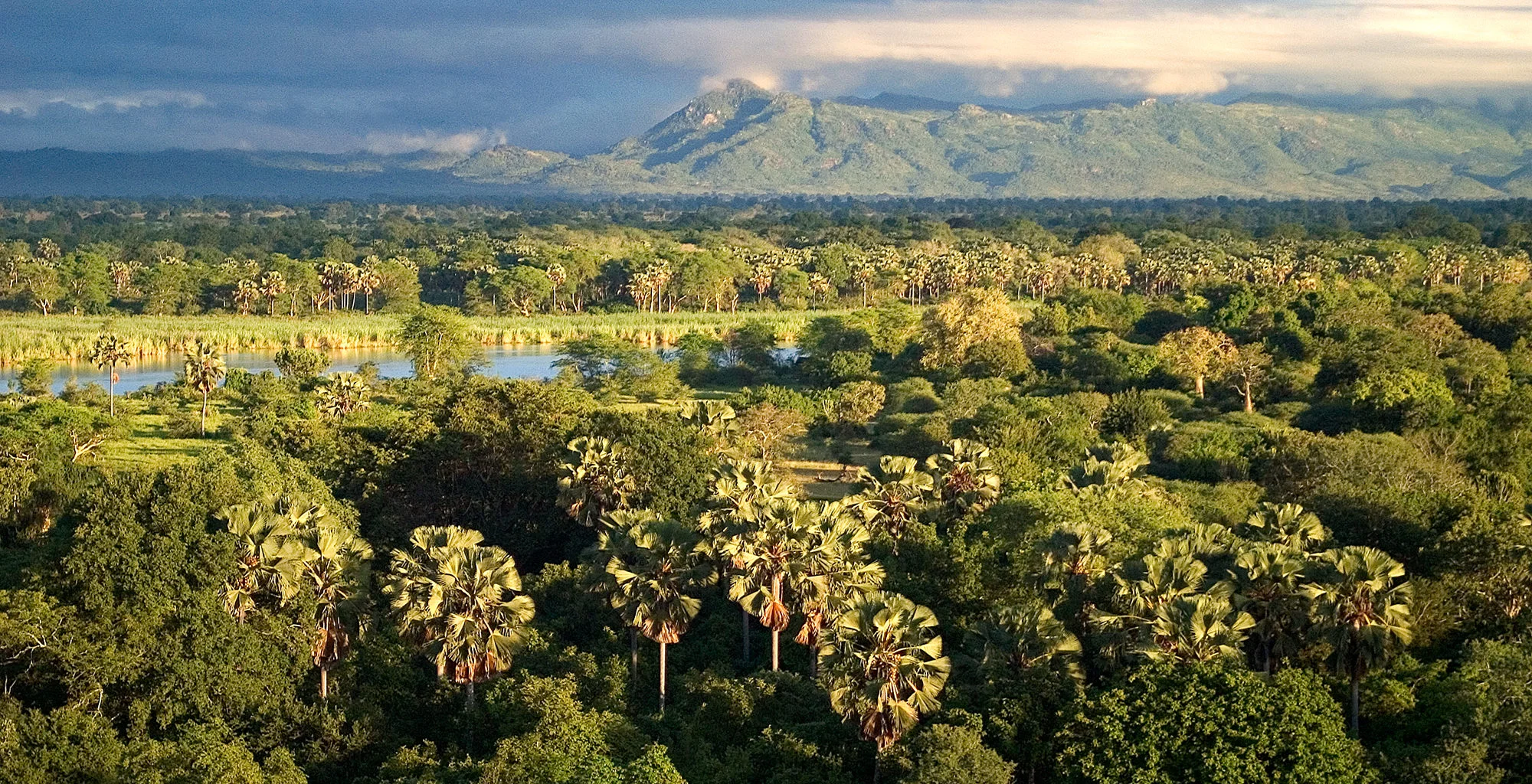 Parc national de Liwonde, Malawi