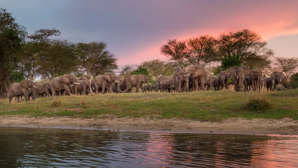 Parc national de Liwonde, Malawi