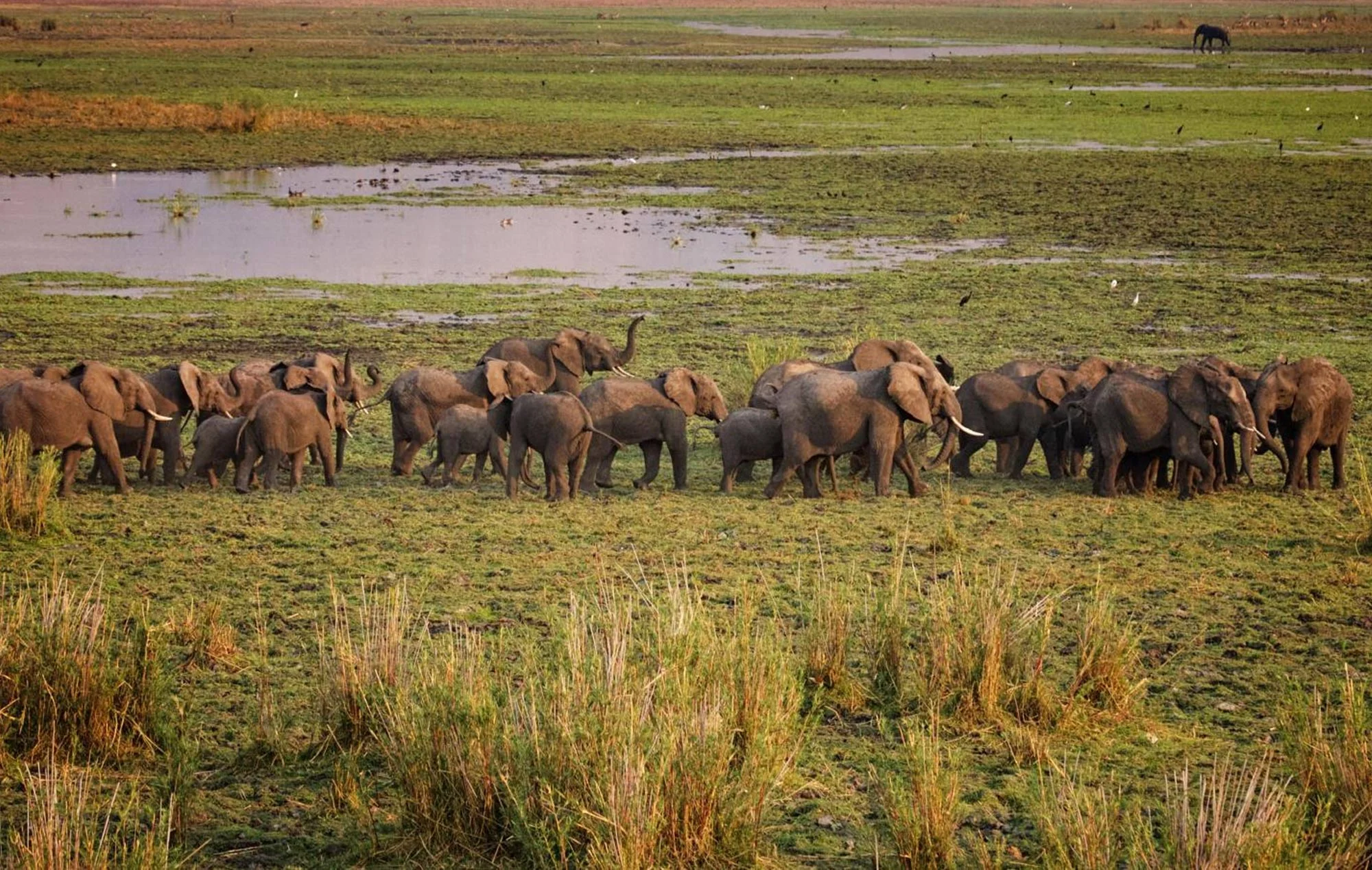 Parc national de Liwonde, Malawi