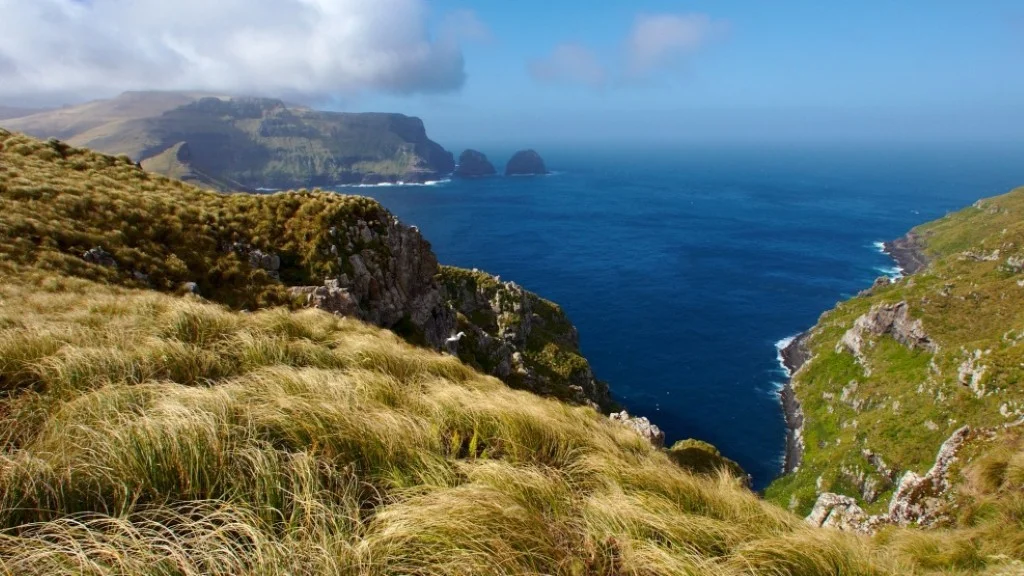 Îles Auckland, Nouvelle-Zélande