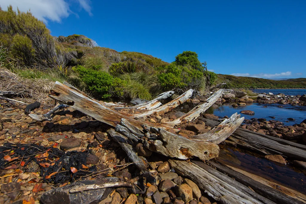 Îles Auckland, Nouvelle-Zélande