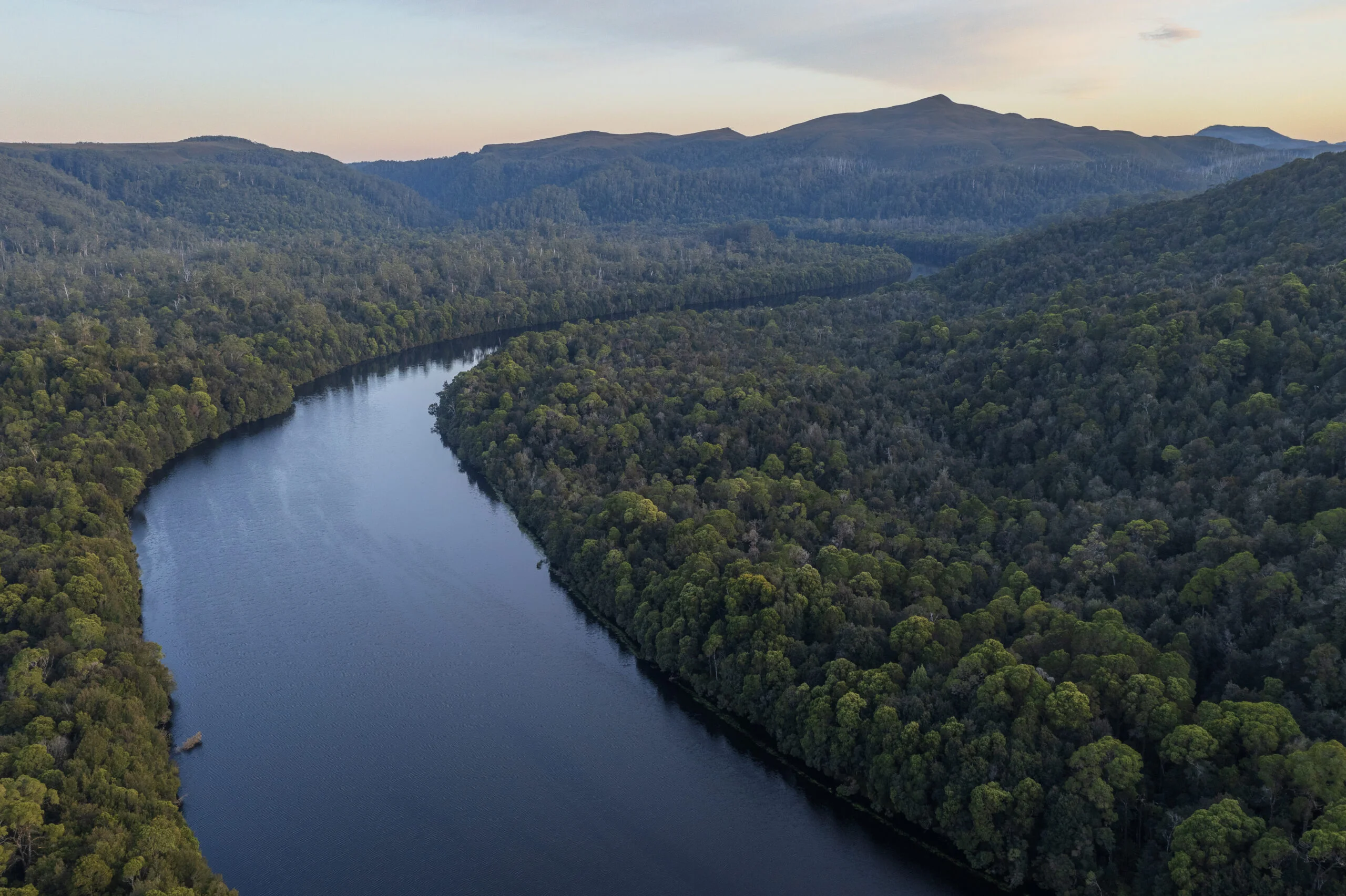 Tarkine, Australie, Tasmanie