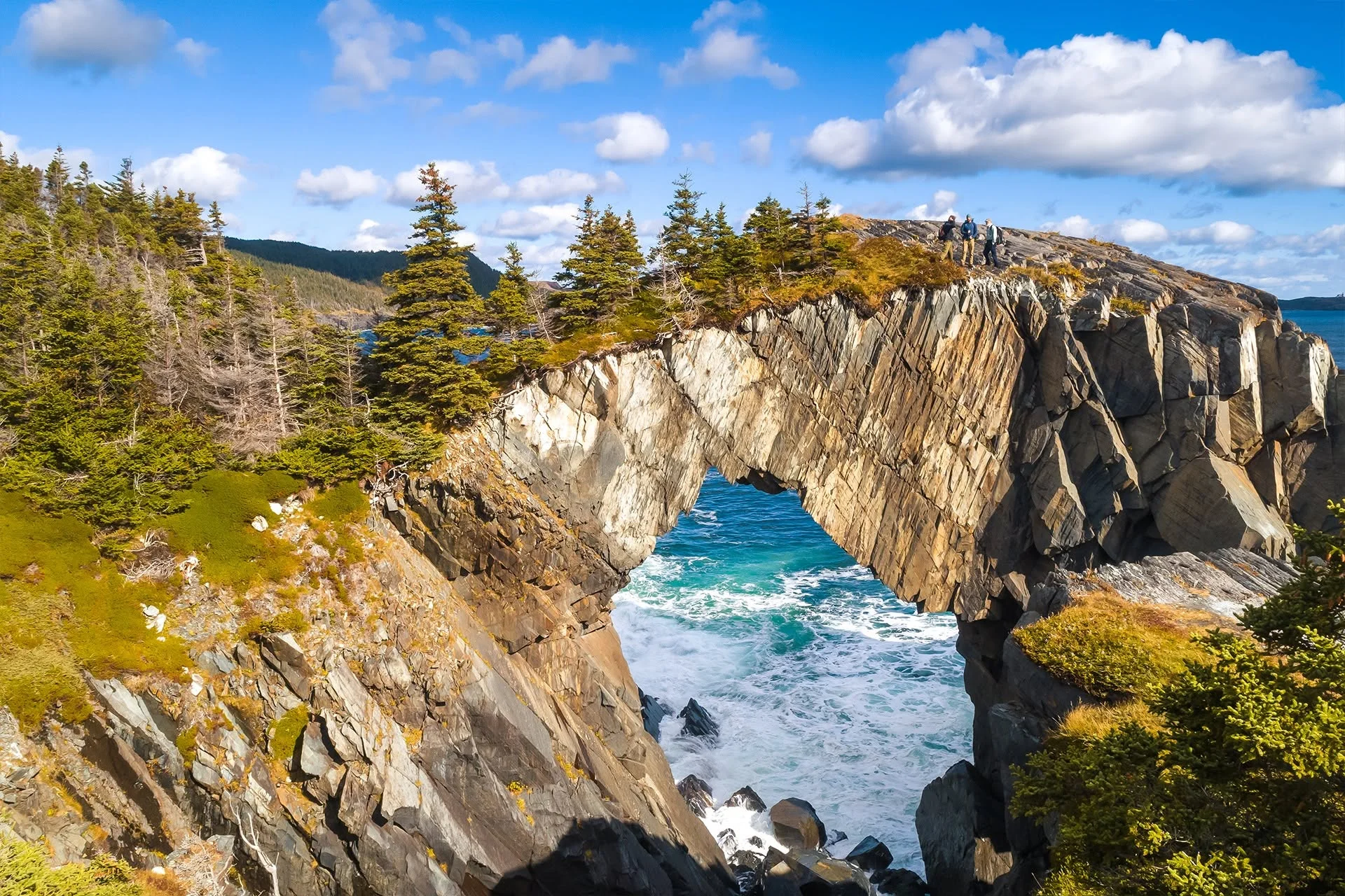 East Coast Trail, Canada