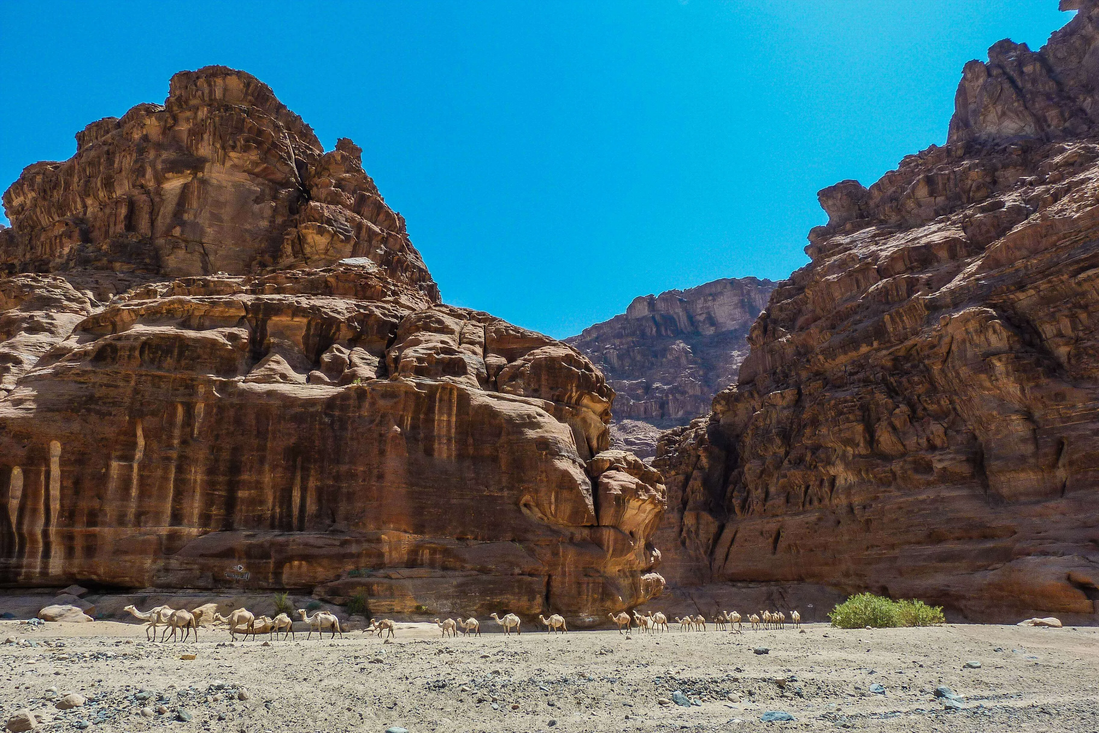 Wadi Qaraqir, Arabie saoudite