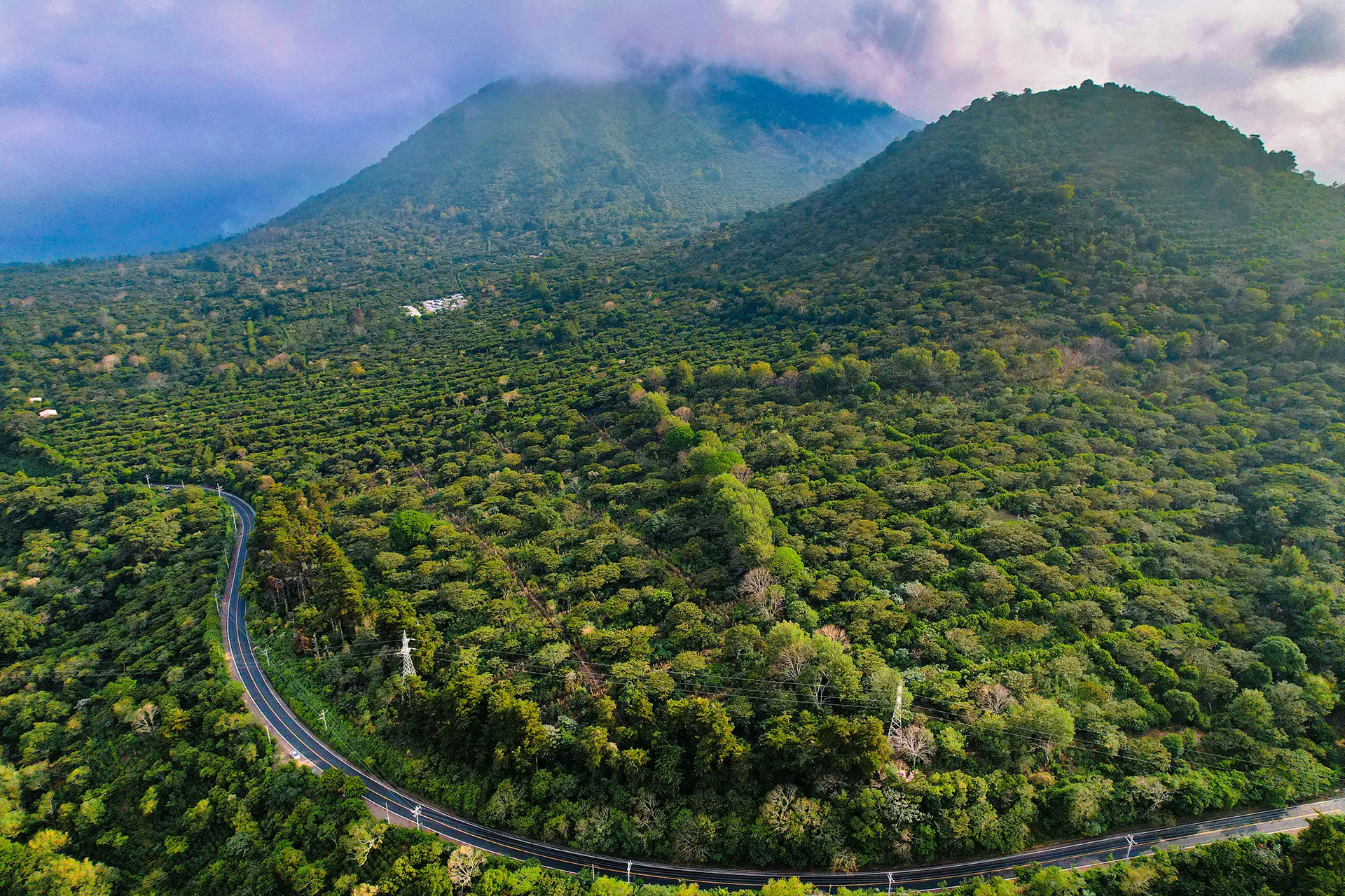 Ruta de las Flores, Salvador, Salvador
