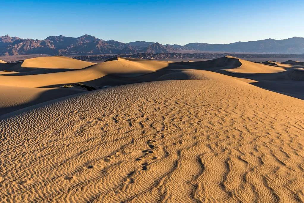 Mesquite Flat Sand Dunes, États-Unis
