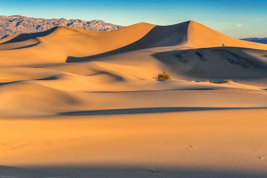 Mesquite Flat Sand Dunes, États-Unis