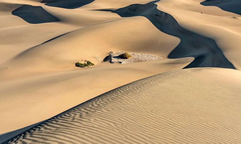 Mesquite Flat Sand Dunes, États-Unis