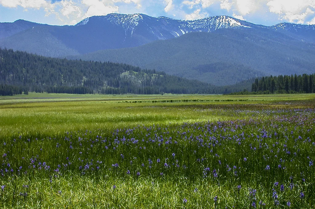 Forêt nationale de Boise, États-Unis